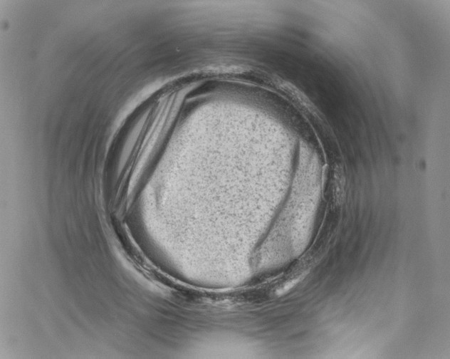 X0000065250726200603131127