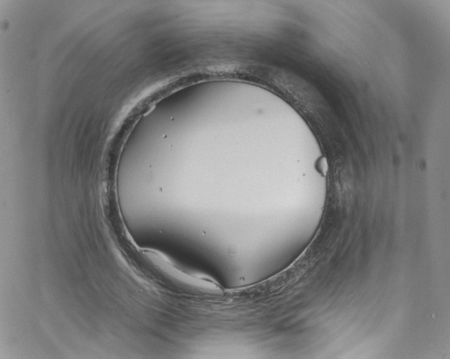 X0000065250728200603131127