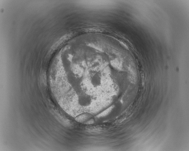 X0000065250729200603131127