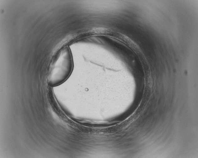 X0000065250730200603131127