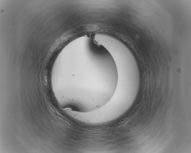 X0000065250731200603131127