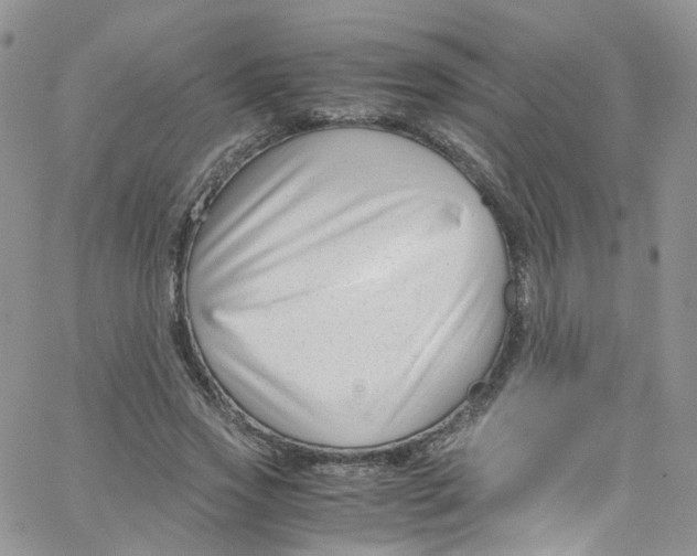 X0000065250733200603131127