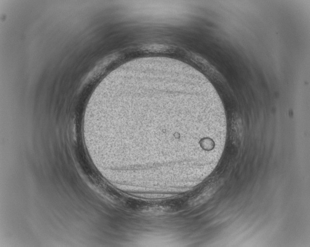 X0000065250734200603131127