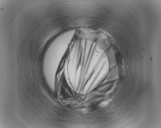 X0000065250735200603131127