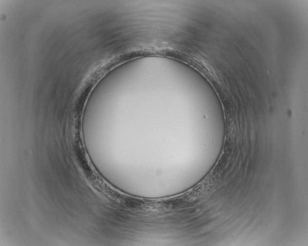 X0000065250736200603131127