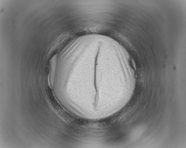 X0000065250738200603131127