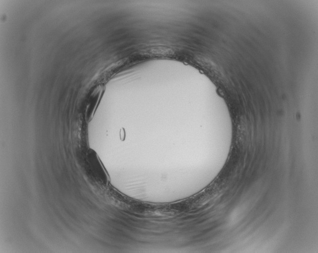 X0000065250739200603131127