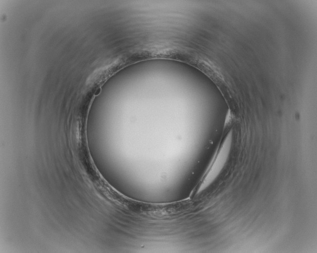 X0000065250740200603131127