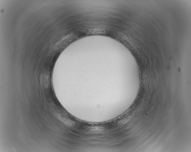 X0000065250741200603131127