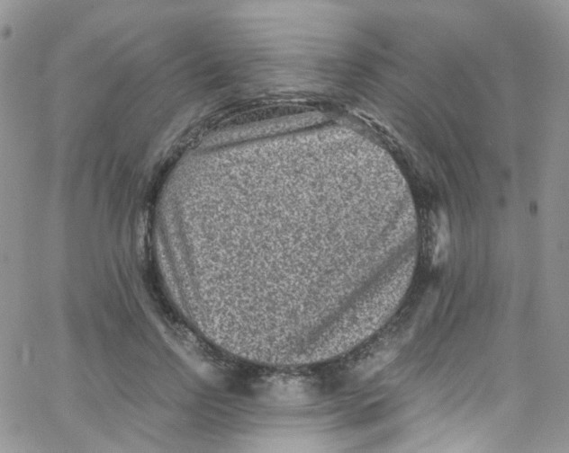 X0000065250742200603131127