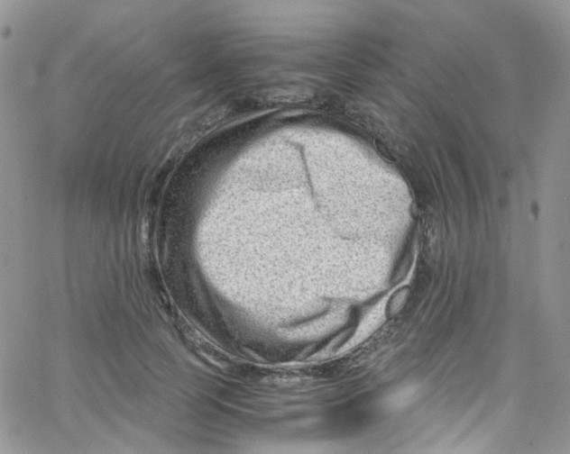 X0000065250745200603131127