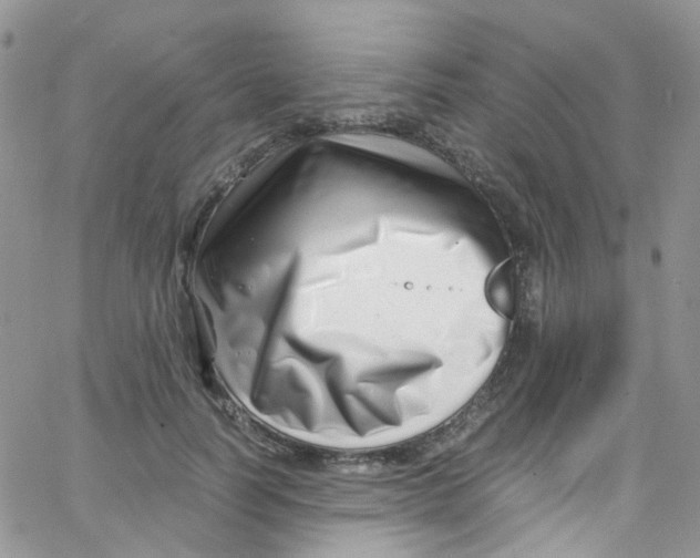 X0000065250746200603131127