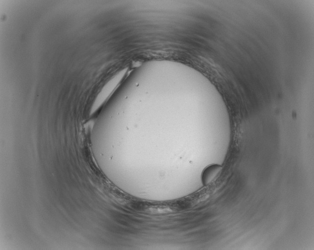 X0000065250749200603131127