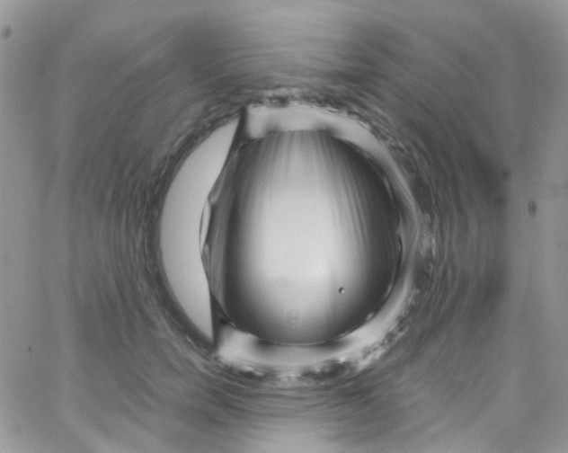 X0000065250750200603131127