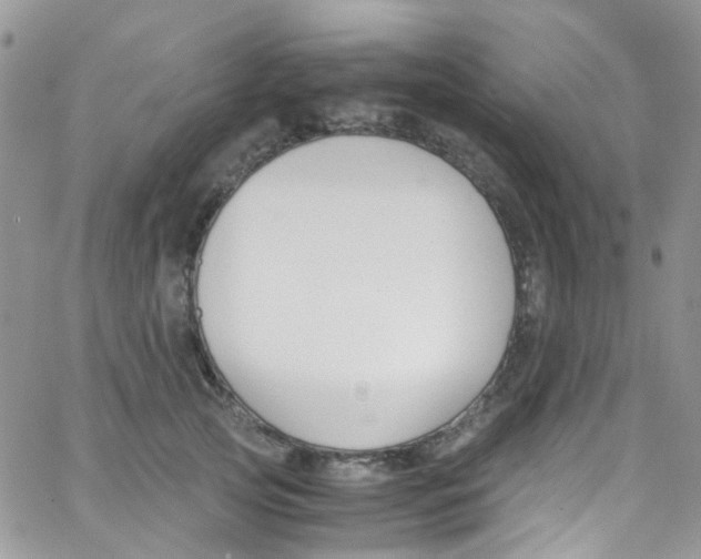 X0000065250753200603131128