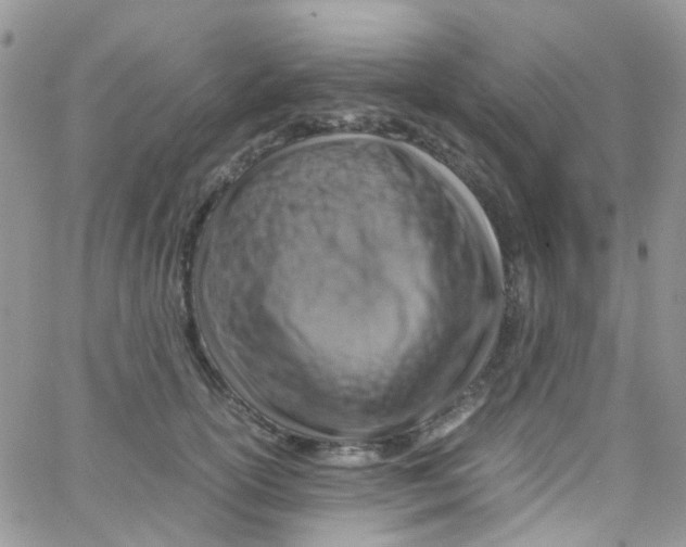 X0000065250754200603131128