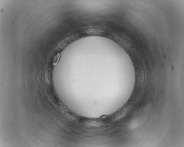 X0000065250755200603131128