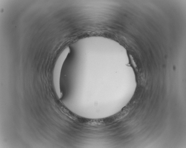 X0000065250756200603131128