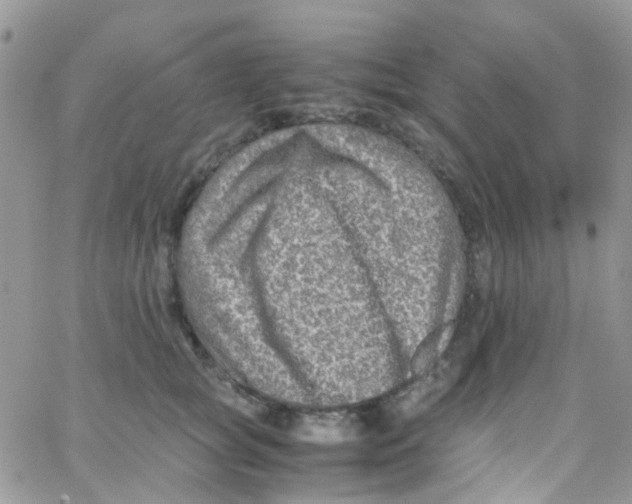 X0000065250757200603131128