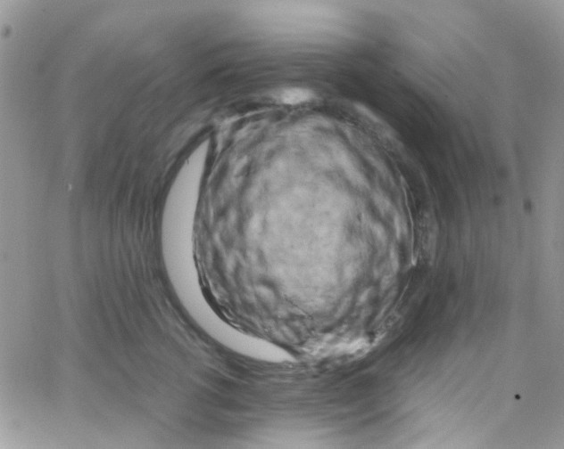 X0000065250762200603131128