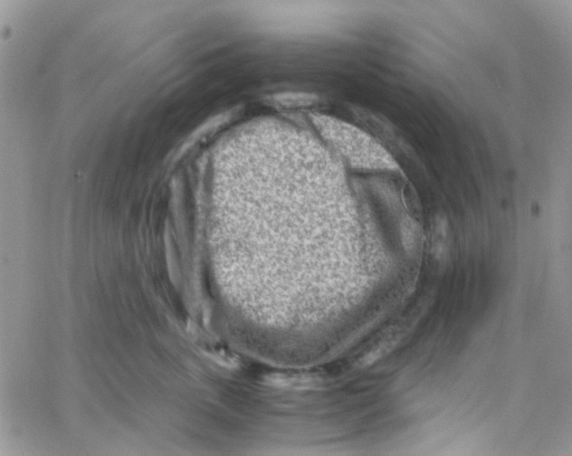 X0000065250763200603131128