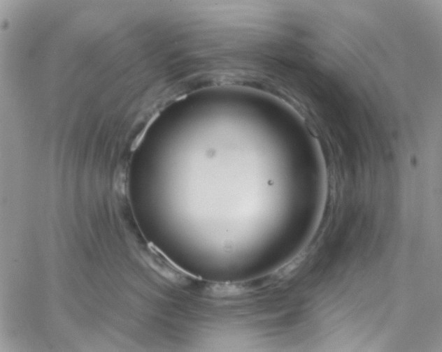 X0000065250766200603131128