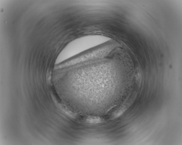 X0000065250767200603131128