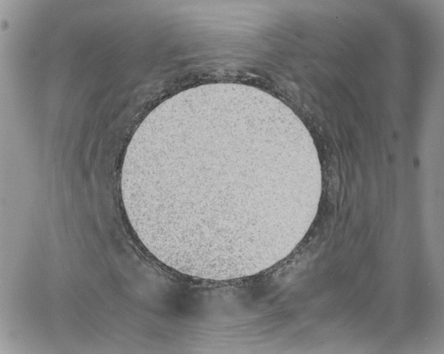 X0000065250769200603131127