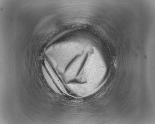 X0000065250771200603131127