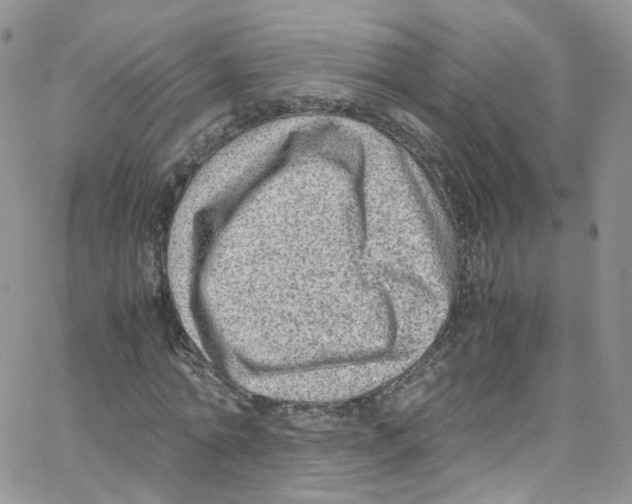 X0000065250774200603131127