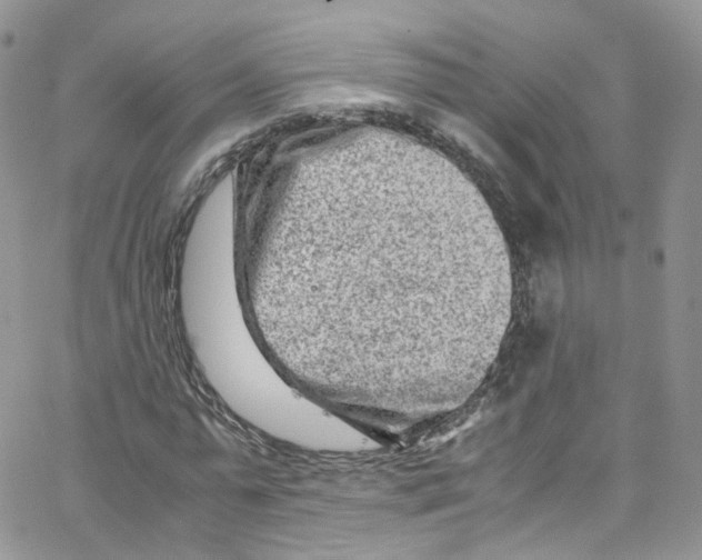 X0000065250775200603131127