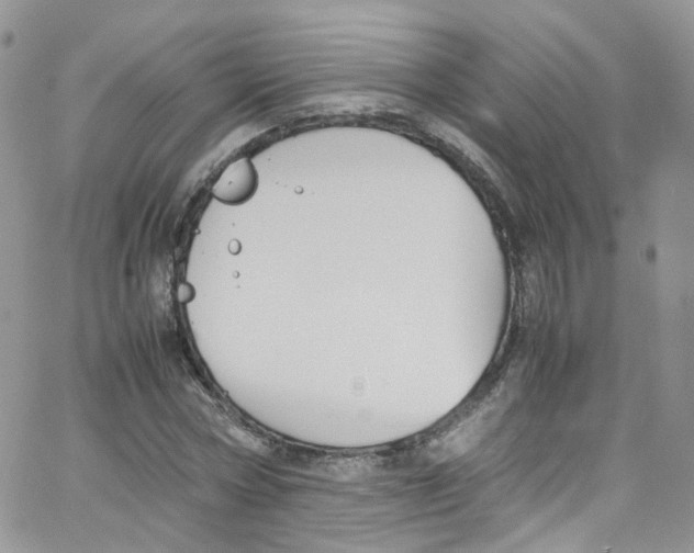 X0000065250778200603131127