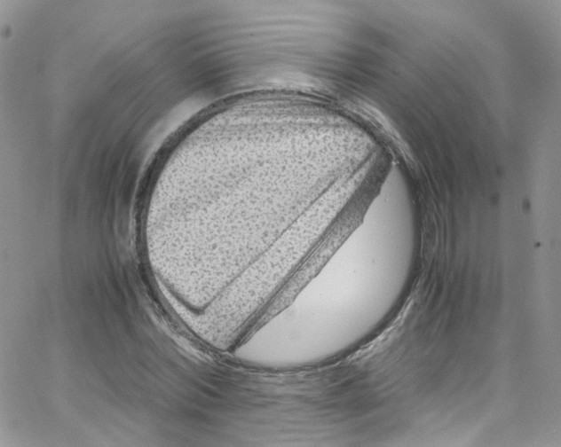 X0000065250780200603131127