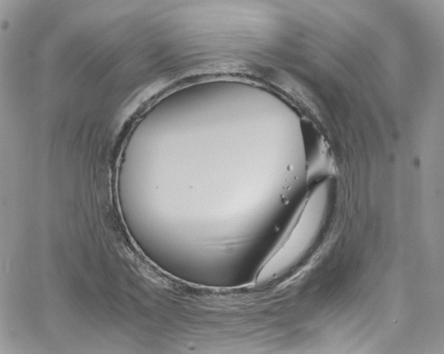 X0000065250781200603131127