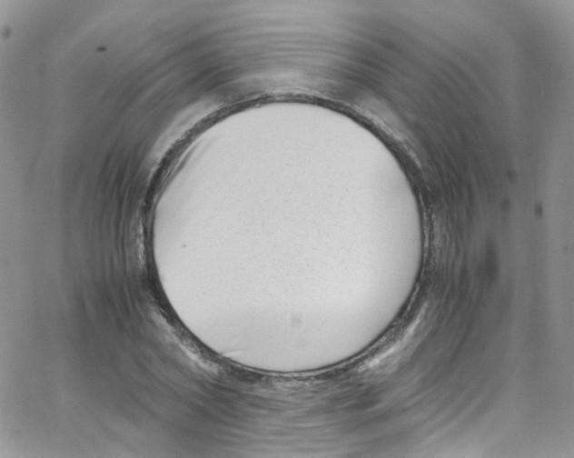 X0000065250782200603131127