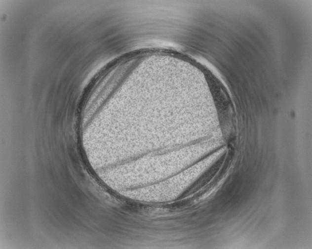 X0000065250783200603131127