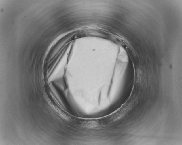 X0000065250784200603131127