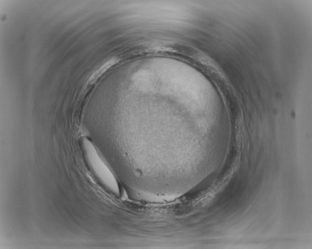 X0000065250785200603131127