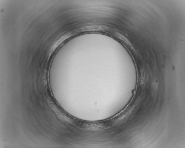 X0000065250786200603131127