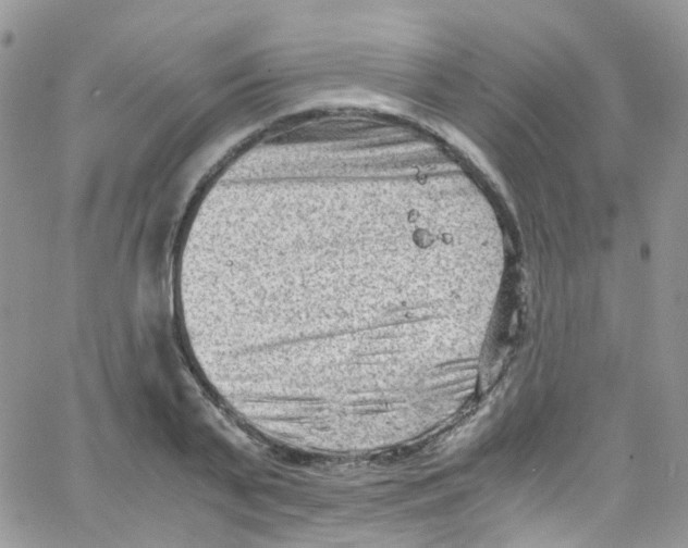 X0000065250791200603131127