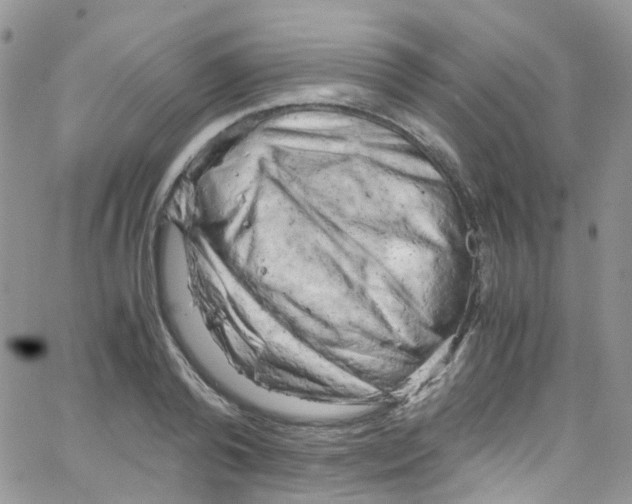 X0000065250792200603131126