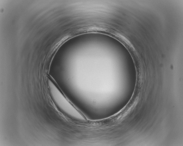 X0000065250793200603131126