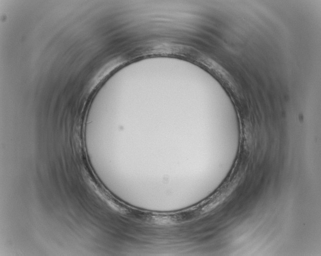 X0000065250794200603131126