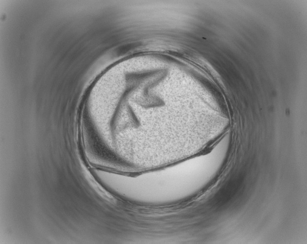 X0000065250795200603131126