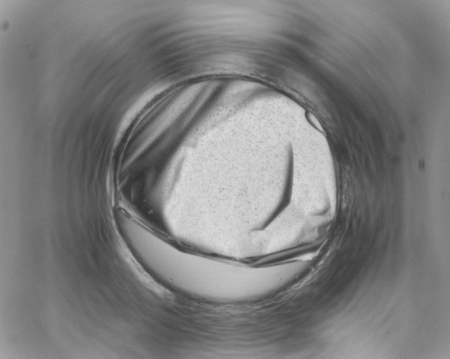 X0000065250796200603131126