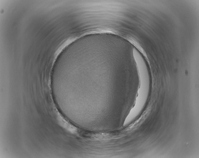 X0000065250797200603131126