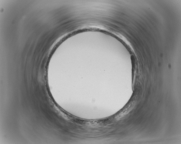 X0000065250799200603131126