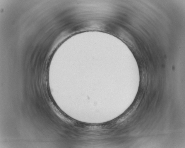 X0000065250800200603131126