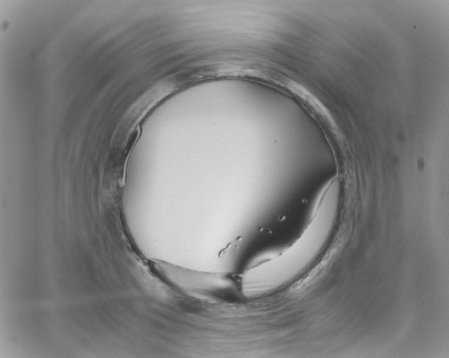 X0000065250801200603131126