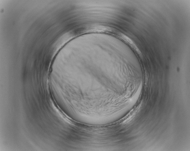 X0000065250802200603131126